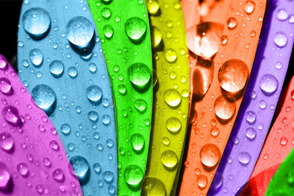 Magenta Ideas Gráficas | Nuestros servicios